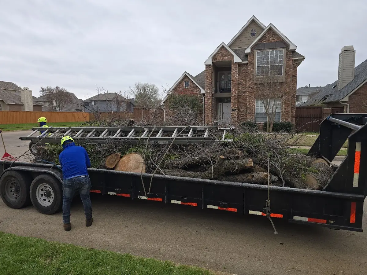 Expert Tree Fertilization with proper safety equipment in Shawnee